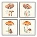 Stupell Industries Woodland Mushroom Botanical Sprouts 4pc Giclee Framed Wall Art Set, Design by Lucca Sheppard