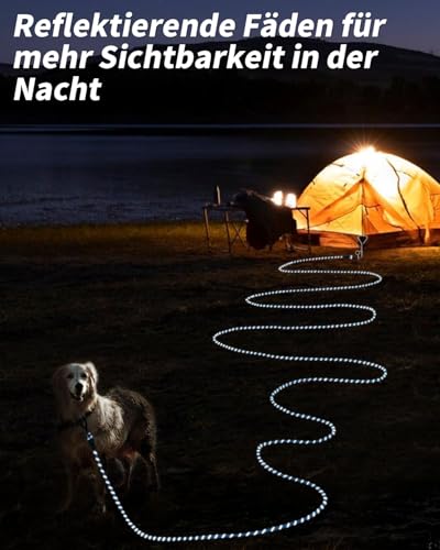 Joytale Schleppleine 5m-20m für Hunde, Reflektierend, Gepolsterter Griff, Abschließbarer Karabiner (Blau, 5m)