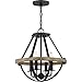 Quoizel BRL1716EK Bartlett Modern Teardrop Silhouette Pendant Ceiling Lighting, 4-Light, 240 Watts, Earth Black (15"H x 16"W)