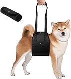 Azuldimen Arnés de elevación para perros Soporte ajustable para perros Sling Aid Arnés de movilidad y rehabilitación para personas mayores con lesiones y discapacidades Lesiones en las articulaciones Perros que caminan (M)