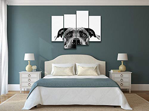 Black And White Pit Bull Dog Studio Portrait Canvas Wall Art Hanging Paintings Modern Artwork Abstract Picture Prints Home Decoration Gift Unique Designed Framed 4 Panel #TOP1