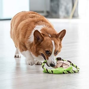 Star Wars for Pets Plush Yoda Rope Frisbee Dog Toy | Green Fetch Toys for Dogs | Plush Dog Toy Chew Dog Toy Squeaky Dog Toy Officially Licensed from Star Wars  Cucciolini Doodles Star wars for pets plush yoda rope frisbee dog toy | green fetch toys for dogs | plush dog toy chew dog toy squeaky dog toy officially licensed from star wars   cucciolini doodles