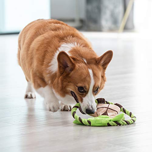 Star Wars for Pets Plush Yoda Rope Frisbee Dog Toy | Green Fetch Toys for Dogs | Plush Dog Toy Chew Dog Toy Squeaky Dog Toy Officially Licensed from Star Wars  Cucciolini Doodles Star wars for pets plush yoda rope frisbee dog toy | green fetch toys for dogs | plush dog toy chew dog toy squeaky dog toy officially licensed from star wars   cucciolini doodles