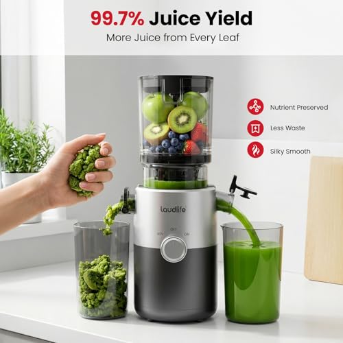 Image of LAUDLIFE Cold Press Juicer Machines, 5.4 inch Wide Chute Slow Masticating Juicer, 35db Quiet Operation, Easy to Clean, Kale /Spinach Friendly, BPA Free, Juicer Extractor for Whole Fruits & Vegetables