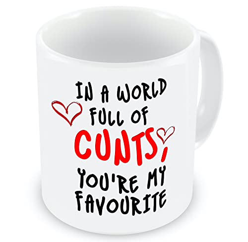 VIROSA Funny Rude Mug in a World Full of C*NTS Youre My Favourite Hilarious Gift for Friends Coworkers Secret Santa Birthday Xmas Office Banter 11oz Ceramic Coffee Cup