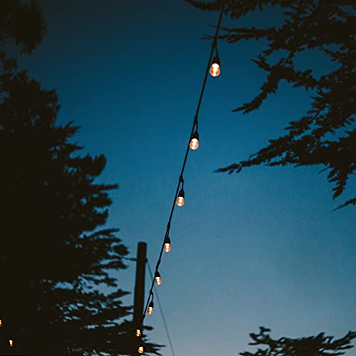 Bulbrite 810002 String15/E26-S14Kt Outdoor, Garden, Patio, Wedding, Party, Holiday, Lawn, And Landscape String Light W/Incandescent Bulbs thumb #8