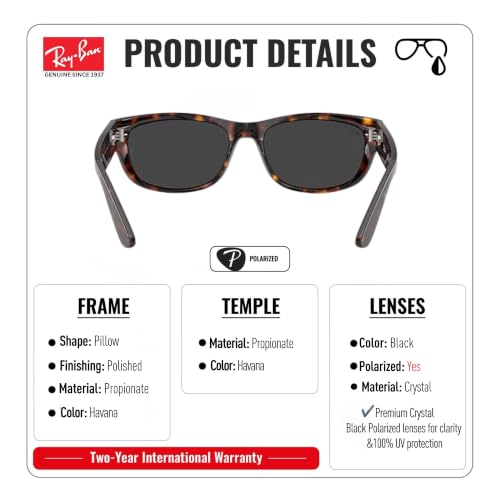 Image of Ray-Ban RB2289 MEGA BALORAMA Square Sunglasses with Official Eyewear Kit