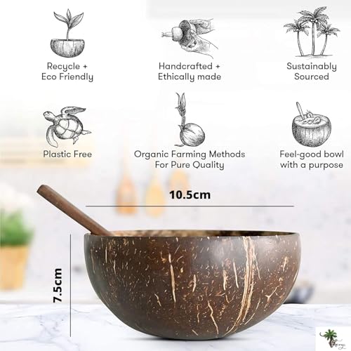 Image of Thenga Jumbo 900ML Artisan Coconut Shell Bowls & Spoon Set | Eco-Friendly Handmade Wooden Bowls for Smoothie, Salad, Breakfast, Buddha Bowls & Meals | Set of 20 from Kerala