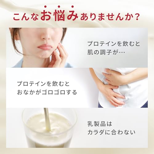 WINZONE ホエイプロテイン 1kg バナナ風味