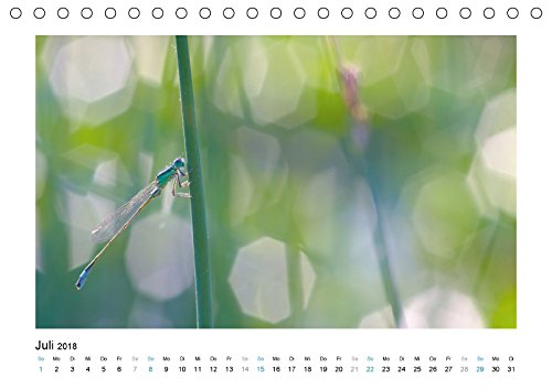 Faszinierende Libellen (Tischkalender 2018 DIN A5 quer): Dieser Kalender zeigt Ihnen die farbenprächtige Welt der heimischen Libelle. (Monatskalender, ... [Kalender] [Apr 07, 2017] Heufelder, Stefanie
