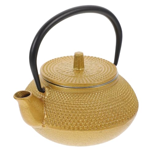 鉄  急須 鉄瓶兼用急須