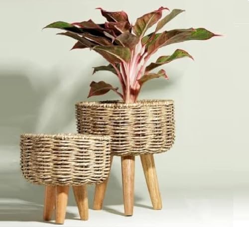 Image of Jute Handmade Twisted Natural Rope Planters for Indoor Plants | Jute Baskets | Plant Container | Gamla for Indoor Home & Decor Balcony | Garden - Natural Brown (Large)
