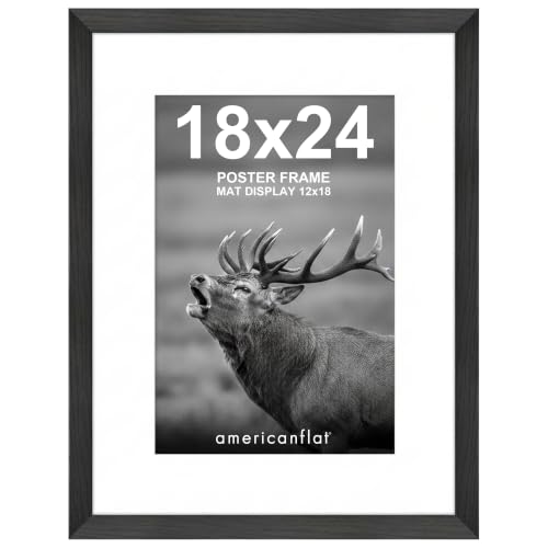 Americanflat 18x24 Poster Frame - Matted to 12x18 - Black