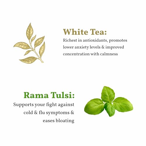 Image of Sancha Tulsi White Tea | 25 Pyramid Bags | Silver Needle White Tea with Pure Tulsi Leaves | Delicate Herbal & Citrus Notes