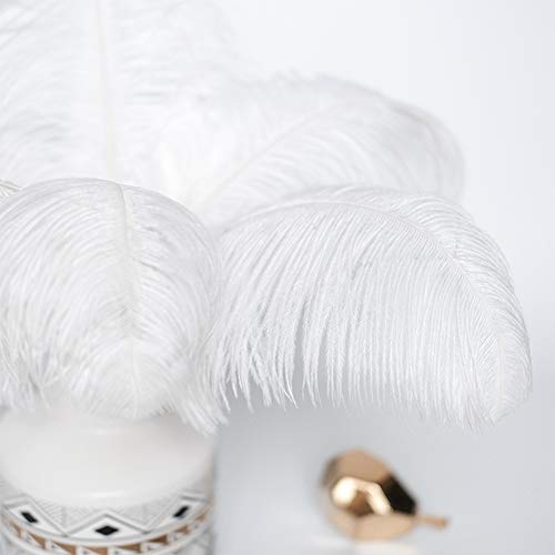 Awaytr 20-22 Inch (50-55Cm) Natural Large Long Ostrich Feathers For Wedding Party Centerpieces,Flower Arrangement And Home Decoration (10Pcs,White-Thick Stem Sticks) #TOP1