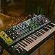 MOOG Matriarch Patchbarer 4-Noten paraphoner Analog-Synthesizer mit Keyboard, Sequencer, Arpeggiator, Stereo Ladder-Filtern, Stereo Analog-Delay