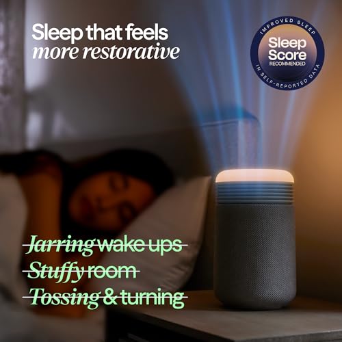 Blueair commercial air purifier