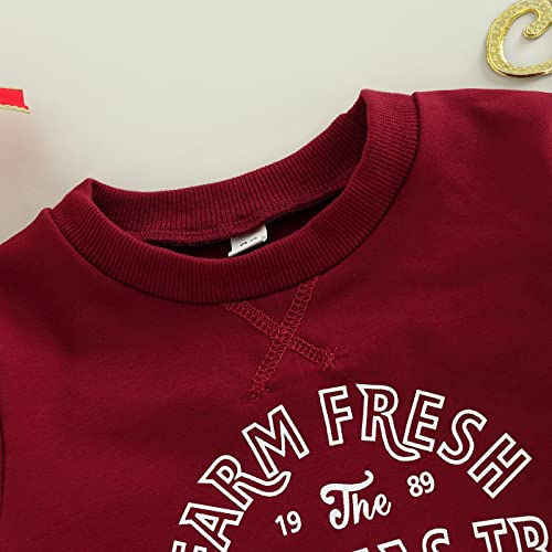 Mozikqin Toddler Baby Christmas Outfit Girl Boy Crewneck Sweatshirt Letter Print Long Sleeve Sweater Shirt Fall Clothes (Christmas Tree Farm-Wine Red,2-3T) #TOP3