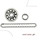 A-Premium 3PCS Engine Timing Chain Kit W/Sprocket Compatible with Ford, Mazda & Mercury - Taurus 1999-2007, Ranger 1999-2008, Windstar 1999-2000, B3000 1999-2008, Sable 1999-2005 - V6 3.0L