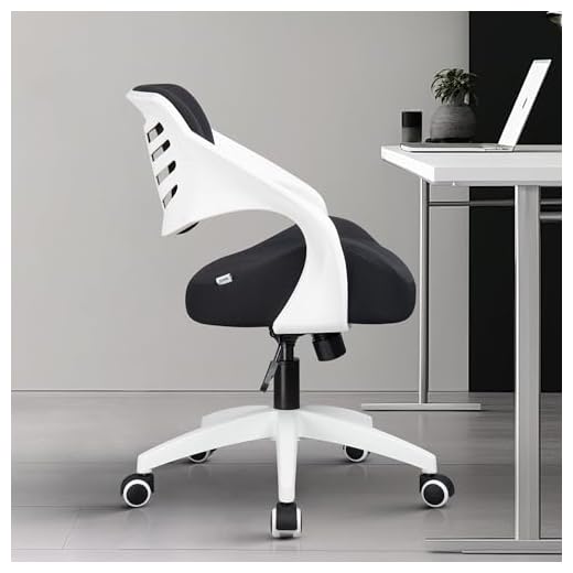 BOJUZIJA Ergonomic Office Computer Desk Chair Waist Support Function (Black)
