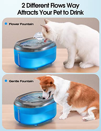 Wopet Cat Water Fountain, 67Oz/2L Automatic Cat Water Dispenser Pet Water Fountain, W300 Silent Pet Waterfall Drinking Fountain With 1 Replacement Filter For Cats, Dog, Small Pets Without Light, Blue #TOP2