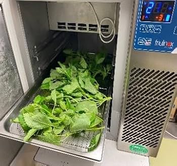 卓上型ブラストチラー　急速冷凍庫100V服部工業 BF030AG 2022年製 Amazon.co.jp: 服部工業 小型 卓上 ブラストチラーフリーザー