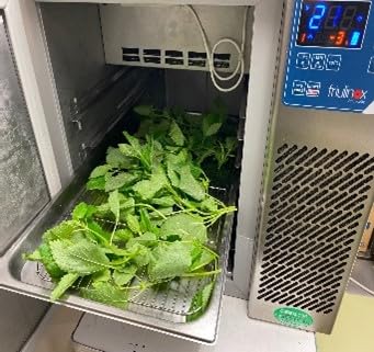 Amazon.co.jp: 服部工業 小型 卓上 ブラストチラーフリーザー