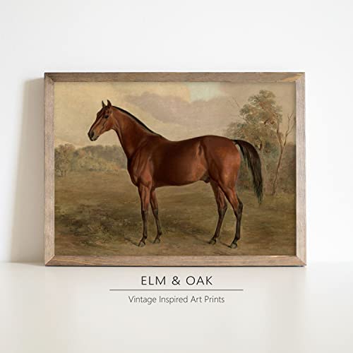 Equestrian Wall Decor - Horse Art Print For Home Decor - Antique Horse Riding Wall Artwork Decoration Farmhouse Country Wall Art For Home Decor - 11X14 Inches, Ready To Frame (Classic Stallion) #TOP3