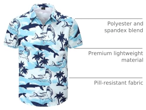 View 5