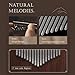 Kalimba Thumb Piano, Professional Portable Mahogany Mbira Finger Piano with Tune Hammer, Carrying Bag, Instruction, Unique Ideal Birthday Holiday Wedding Gift, Musical Instruments for Beginners b4-17