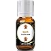 Myrrh Essential Oil for Diffuser & Reed Diffusers (100% Pure Essential Oil) 10ml