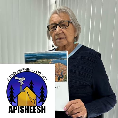 『Episode 1: Angela Shisheesh』のカバーアート