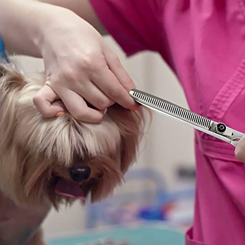 Laazar Professional Thinning Shears For Dogs And Cats With Leather Case | Adjustable Pet Grooming Scissors | Hand-Forged 440C Japanese Stainless Steel | Groomers Tool For Blending Or Texturizing Hair #TOP4