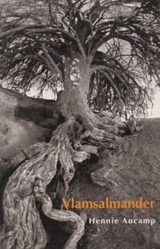 Vlamsalmander