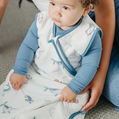 Image of Copper Pearl Baby Sleep Sack, Arctic Wonder - 0.5 TOG Summer Wearable Blanket for 12-18 Months, Sleeveless Sleep Sack for Baby Boy or Girl