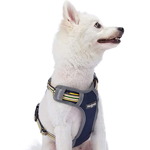 Blueberry Pet 9 Colors Soft & Comfy 3M Reflective Multi-Colored Stripe Mesh Padded No Pull Dog Harness Vest With Back Leash Clips, Large, Yellow & Green #TOP8