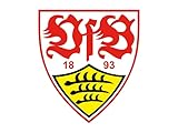 FC Augsburg vs. VfB Stuttgart
