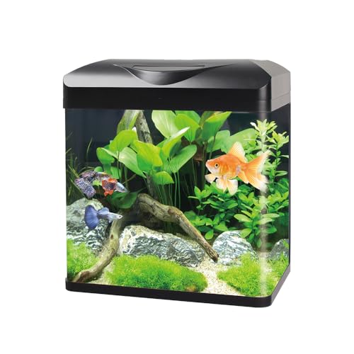 Aqua Care E300 Curved Corner Glass Aquarium, 16L, LED Light, Built-in Filter, 300 x 235 x 345mm