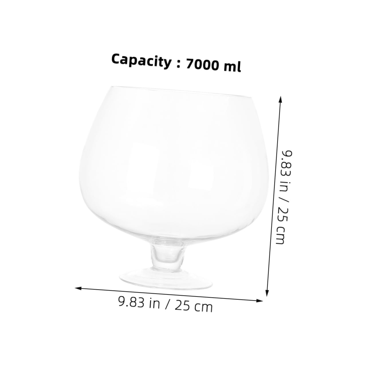 TOPBATHY Acquario in Vetro Trasparente Da Tavolo Per Pesci Rossi Vaso Acquario Piccolo Per Pesci Betta Terrario Per Piante Acquatiche Design Decorativo Elegante