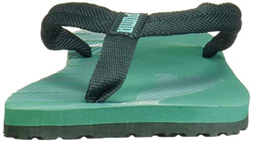 Image of Puma Unisex-Adult Epic Flip V2 Jr Sandal