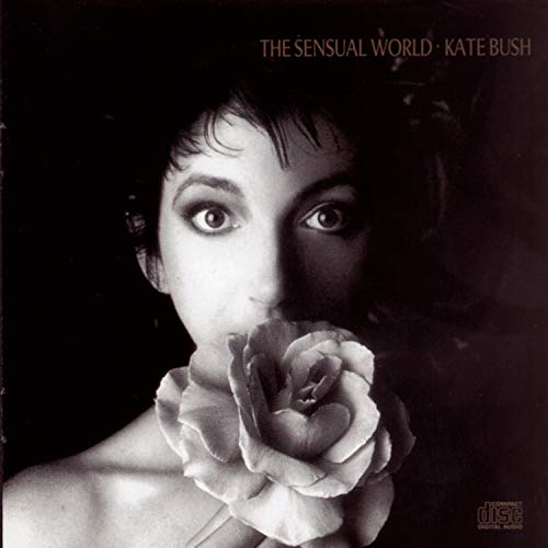 the sensual world - The Sensual World