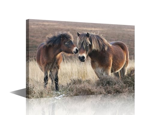 Impression sur toile poney et cheval encadrée prête à suspendre salon
