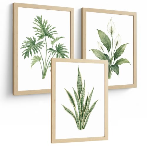 Nacnic Láminas Tropicales con Filodendro, Lirio de la Paz y Sansevieria
