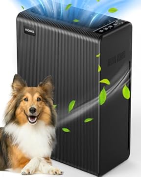 best non ozone air purifier