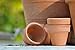 Produktbild 1L Terracotta Imprägnierung Naturstein, Sandstein, Terrakotta Imprägnieren Pflege für Pflanzkübel, Pflanzengefäße, Übertöpfe, Tontöpfe, Pflanztöpfe