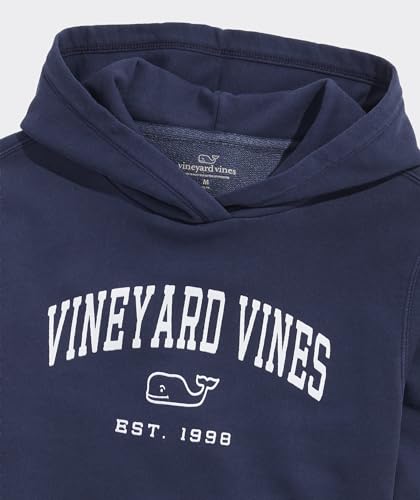 Image of vineyard vines Boys' Boys' Sun-washed Graphic Hoodie