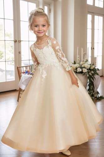 Lace Applique Flower Girl Dress for Wedding Puffy Tulle First Communion Dress for Girls 2025 Toddlers Pageant Party Gowns4