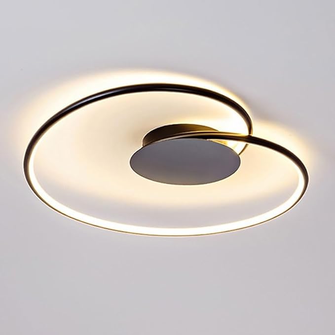 Elegant and Fashionable Modern Simple Aluminum Bedroom Ceiling Lamps Creative Iron Art Flush Mount Lighting LED 3 Color Dimmable Lights for Dining Room Living Hotel image 4