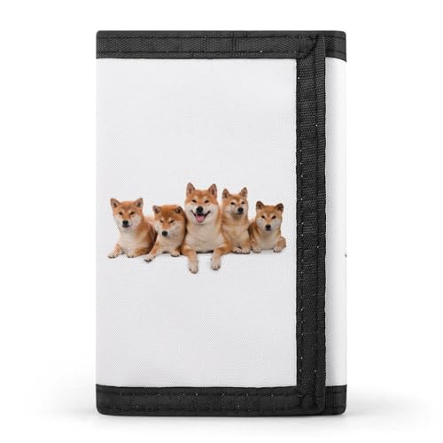 [YINGDAB] O܂z Č    zCg 킢 ~jz J[hP[X z D fB[X Y J[h K Wallet  RpNg e ^ v[g