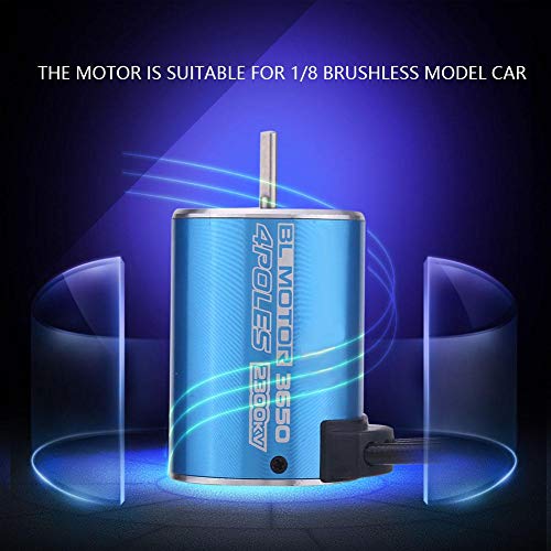 Dilwe RC Auto Brushless Motor, Surpass 3650 2300KV Brushless Motor für 1/8 Fernbedienung RC Car Modell Teil Zubehör